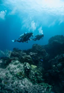 Snorkeling